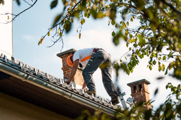 Best Storm Damage Roof Repair  in Potterville, MI