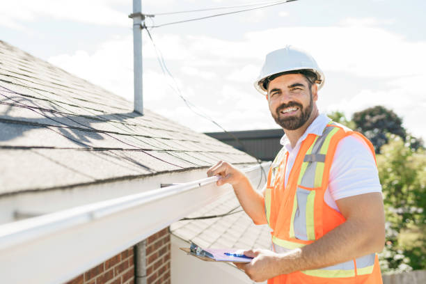 Best Sealant for Roof  in Potterville, MI