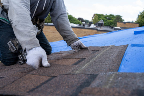 Best Residential Roofing Contractor  in Potterville, MI