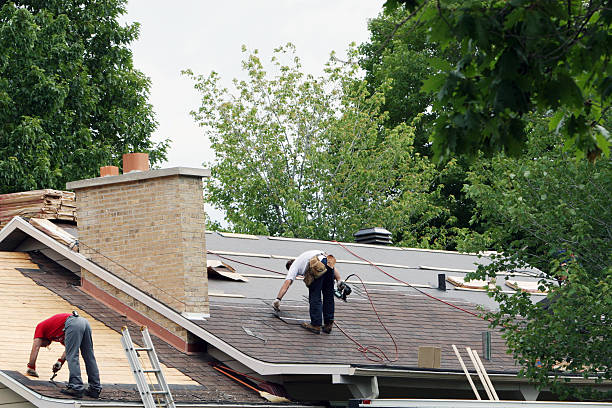 Best Best Roofing Contractors  in Potterville, MI