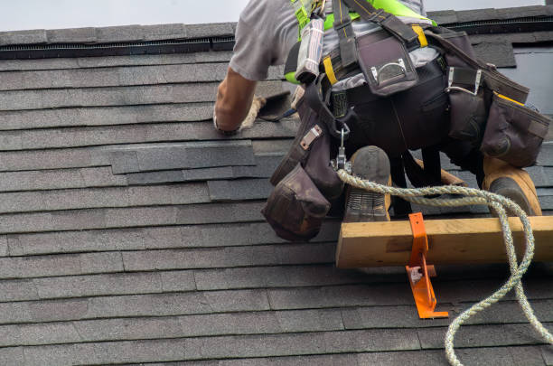 Best Roof Gutter Cleaning  in Potterville, MI