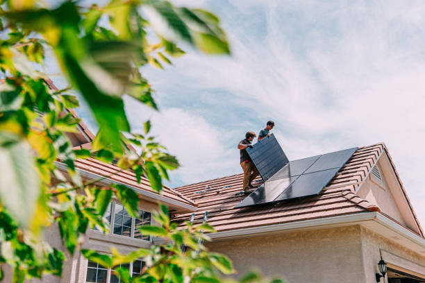 Best Roof Maintenance Services  in Potterville, MI