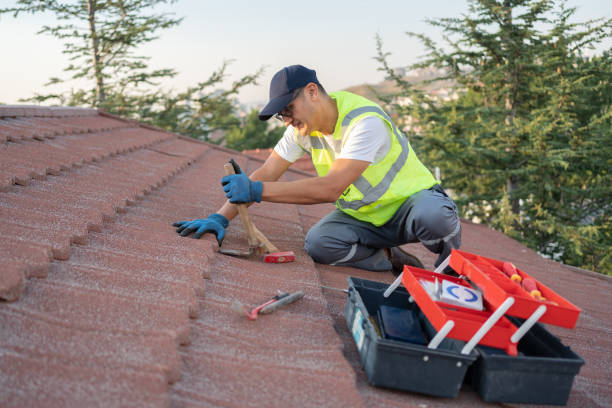 Best Commercial Roofing Services  in Potterville, MI