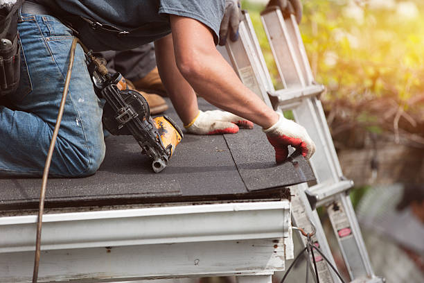 Best Roof Inspection Near Me  in Potterville, MI