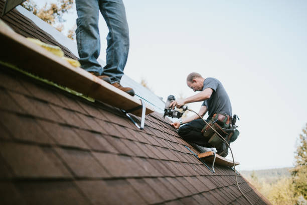 Best Flat Roof Repair Services  in Potterville, MI