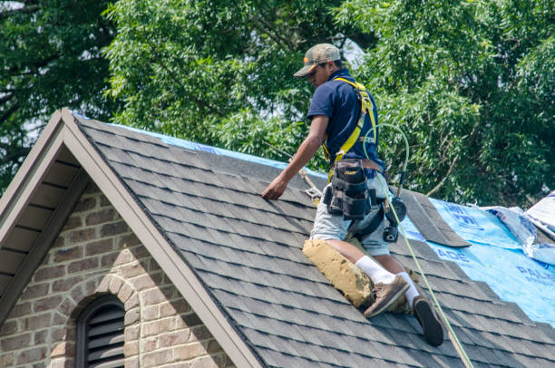 Best Roof Repair Services  in Potterville, MI