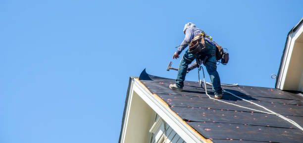 Best Emergency Roof Repair  in Potterville, MI